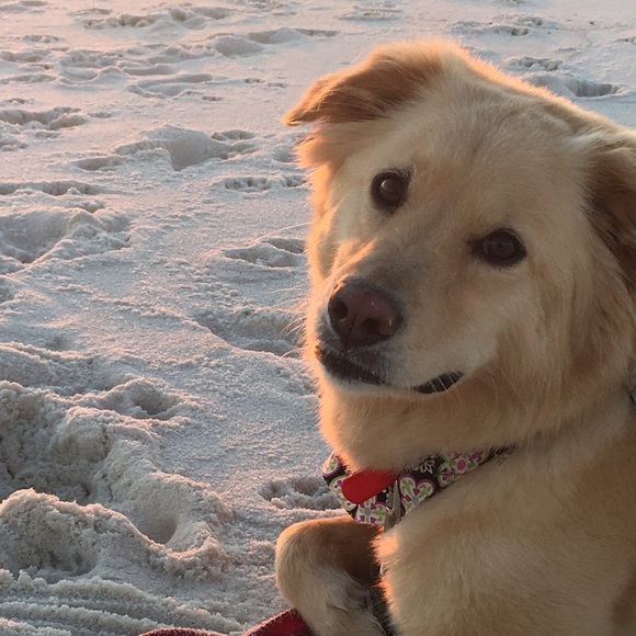 Meet your Posher, Tammy - Picture 2 of 8